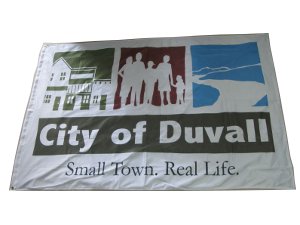 custom flags, banners, pennants