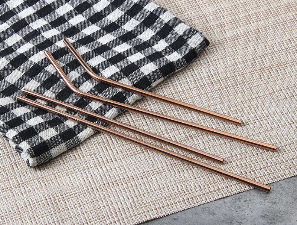 4 Stainless Steel Straws With Carry Bag