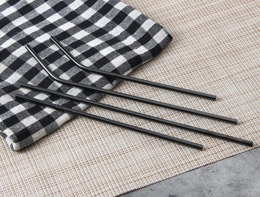 4 Stainless Steel Straws With Carry Bag