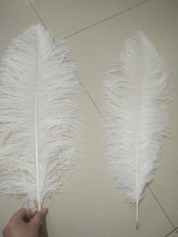 Cheap Ostrich Feather