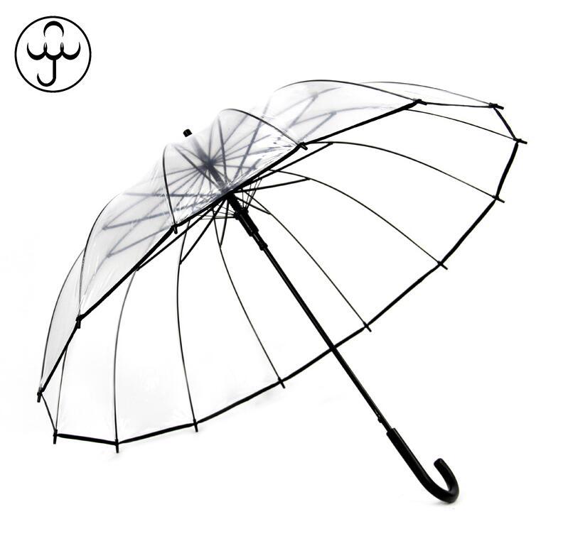 Environmental Umbrella