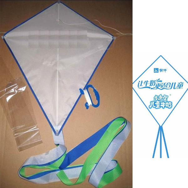 Promotional Diamond Kite, Advertising Kite