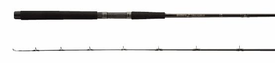 Fly Fishing Rod