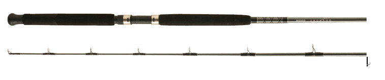 Fly Fishing Rod