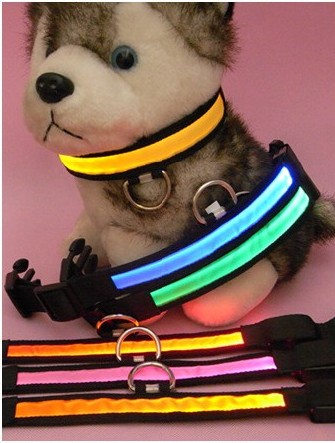 Dog Collar