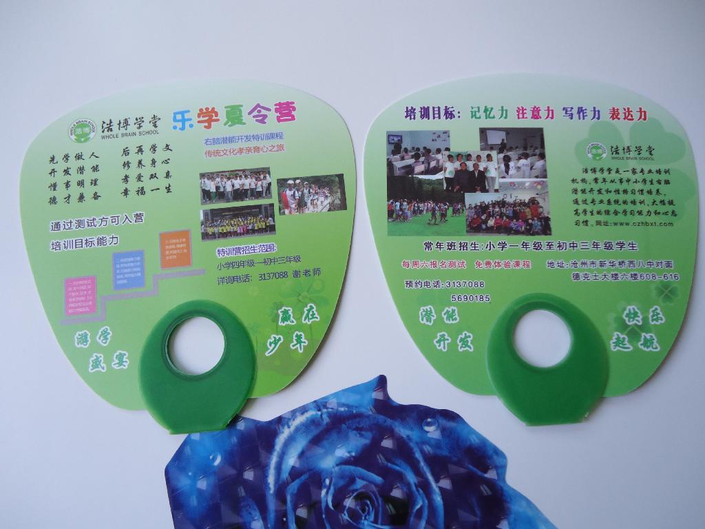 Plastic Hand Fan, Promotion Fan