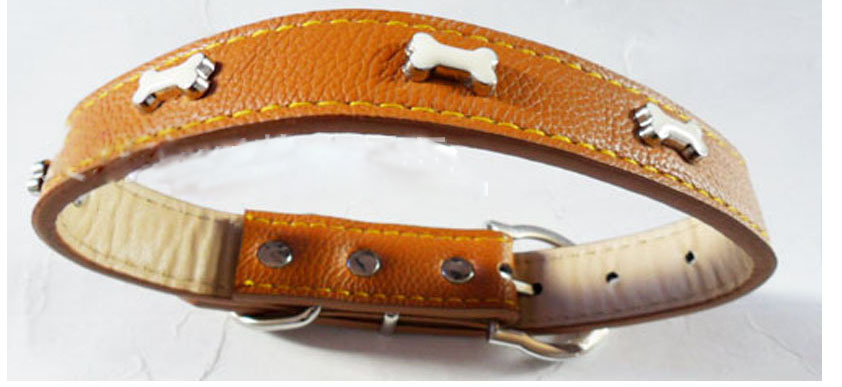 breakaway dog collar