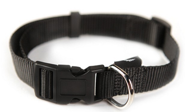 Custom Dog Collars With Breakaway Buckle, And Slide Adjuster