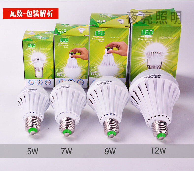 Emergency Light Bulb; Intelligent Emergency Light Bulb; Recharged Light Bulb; LED Light Bulb