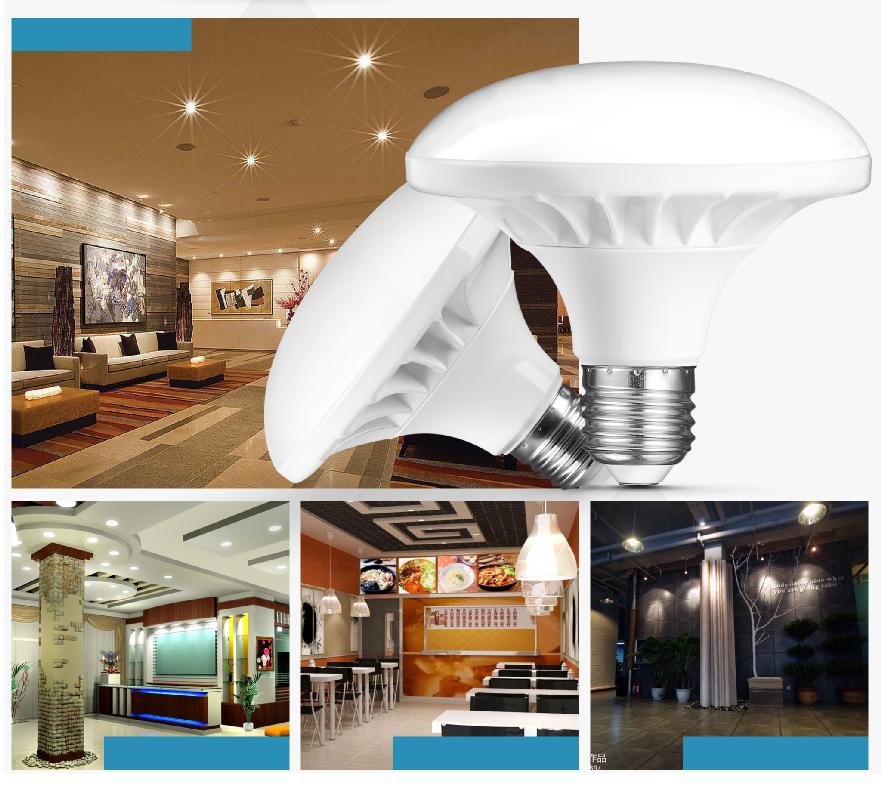 LED F series bulb-15W