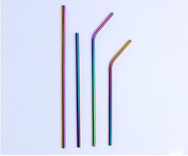 4 Stainless Steel Straws With Carry Bag