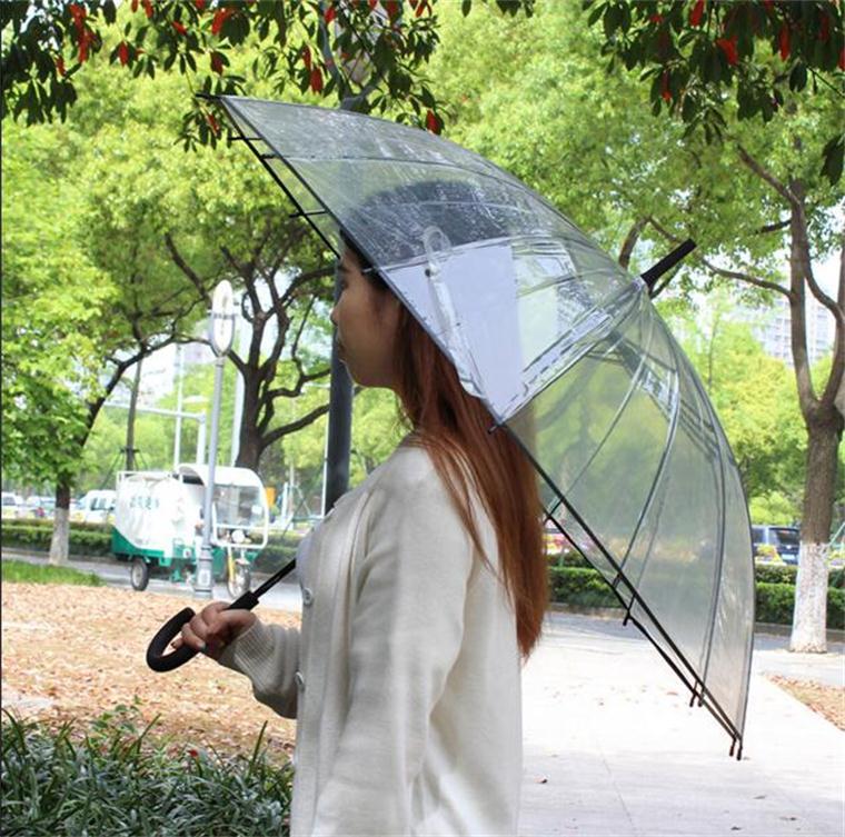 Environmental Umbrella