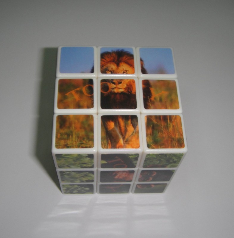 Puzzle Cube