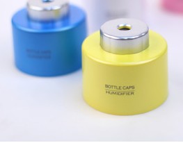 Mini Bottle Humidifier