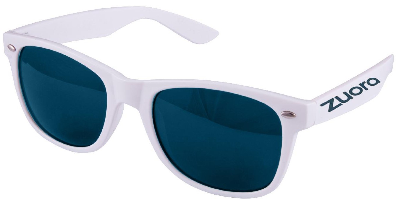 Wayfarer Style Plastic Sunglass