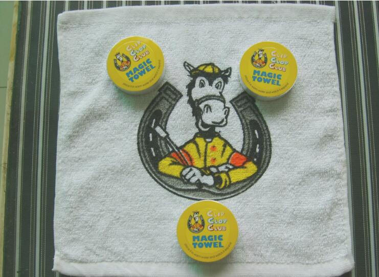 Compressed Towels With Logo And Label Branded 