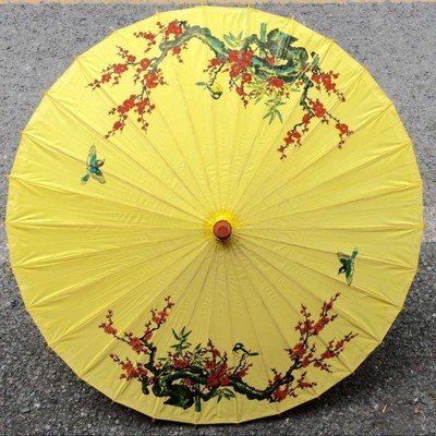 Custom Paper Parasol