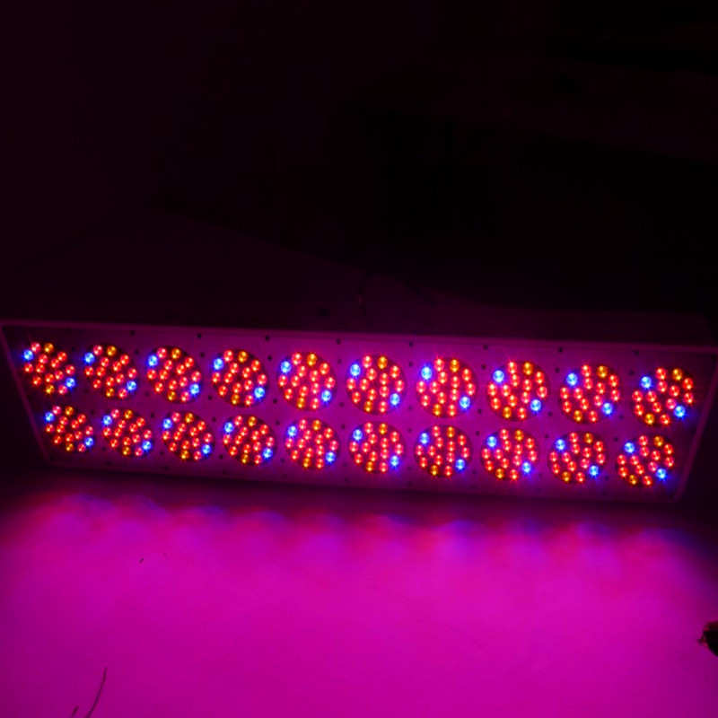 A20 Led grow light