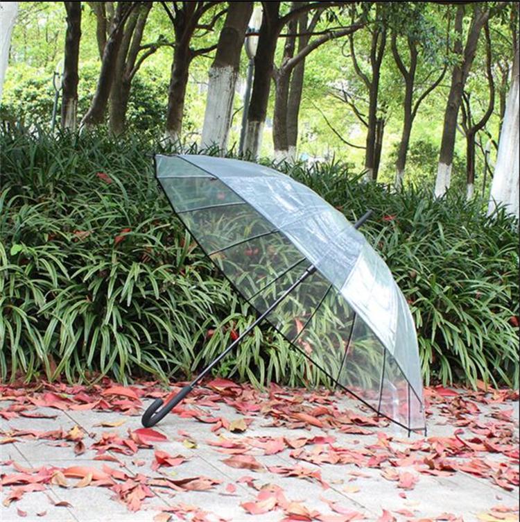 Environmental Umbrella