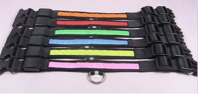 Dog Collar