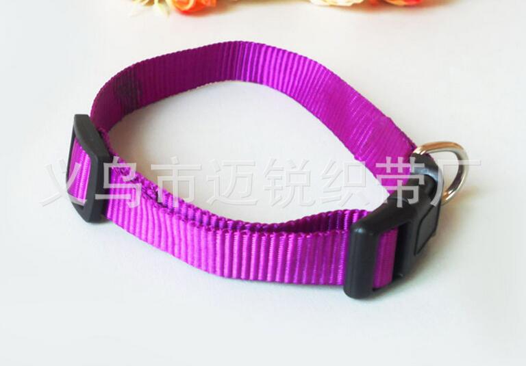 Pet Collar, Pet Leashes