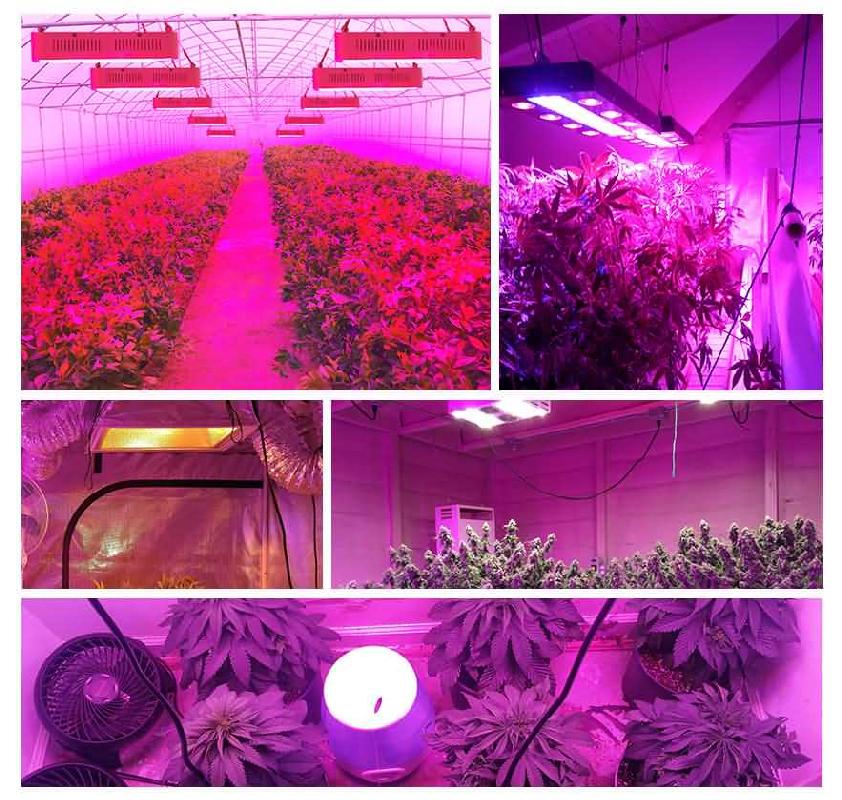  LED grow light 47w