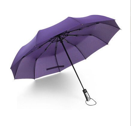 Folding Windproof Umbrella