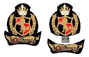 Custom Shaped USB Drive wholesale, custom printed logo