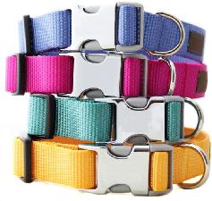 Custom Webbing Dog Collar with Metal Plastic Hybrid Buckle wholesale, custom logo printed