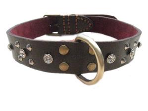 Leather dog collar - 2.5 x 55 cm wholesale, custom logo printed