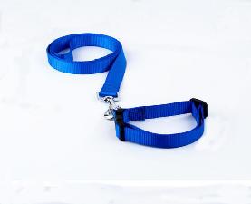 Easy-to-adjust Buckle Collar wholesale, custom logo printed