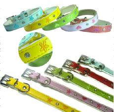 Pet Collar, Pet leashes wholesale, custom printed logo