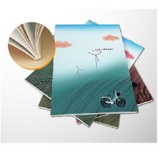 Full Color Printed 157gsm Art Paper Picture Albums 90 Pages  wholesale, custom logo printed