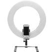 18 Inch 60W LED Ring Light With Battery And Remote Control